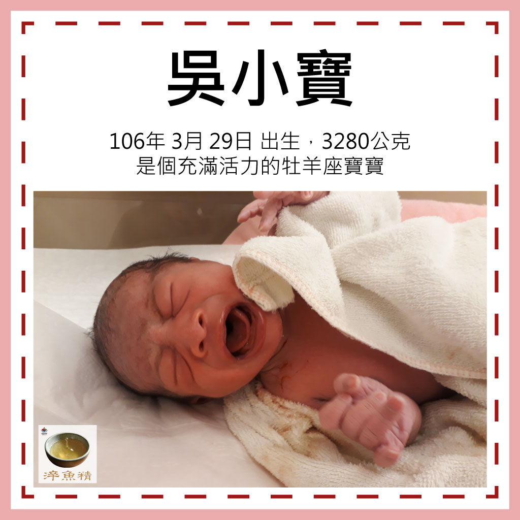 淬魚精寶寶