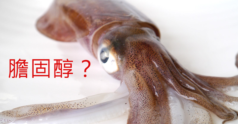 軟絲