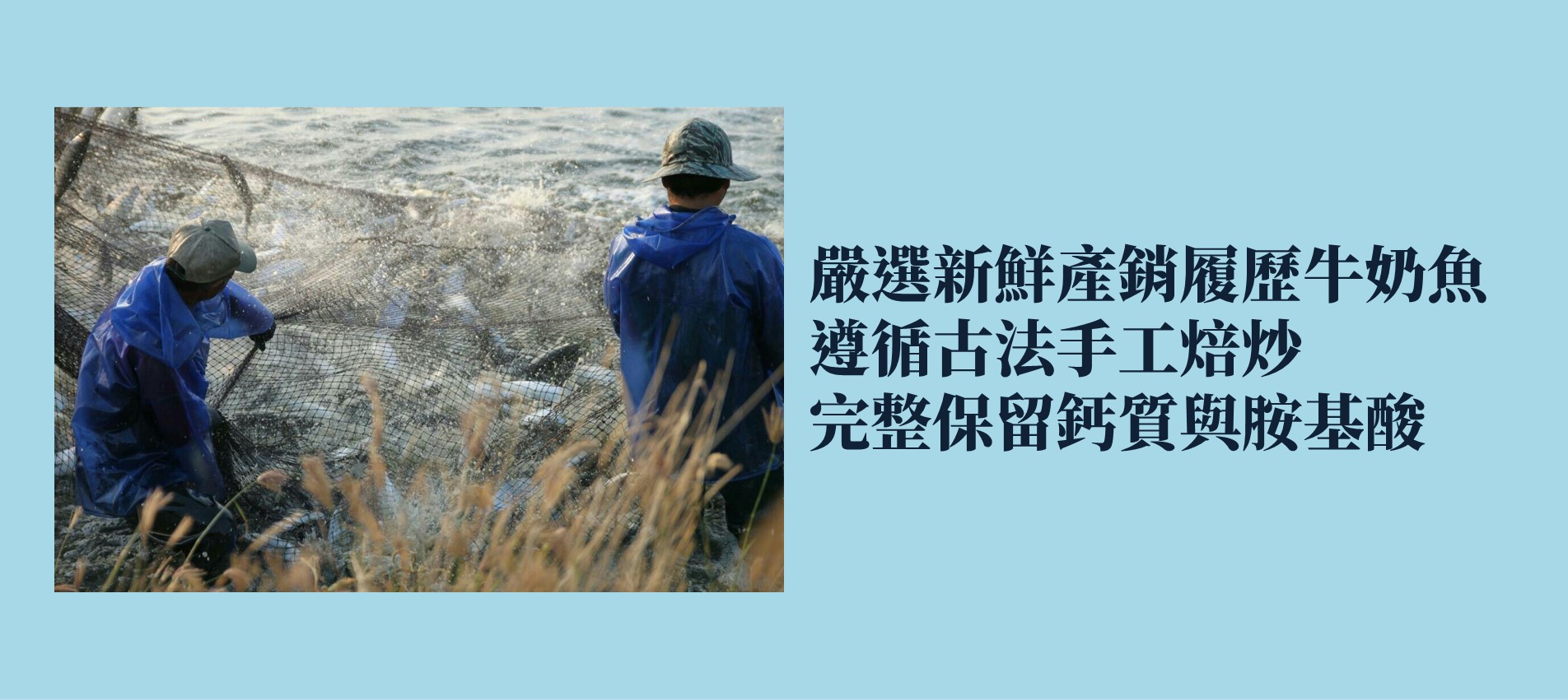 成功魚鬆
