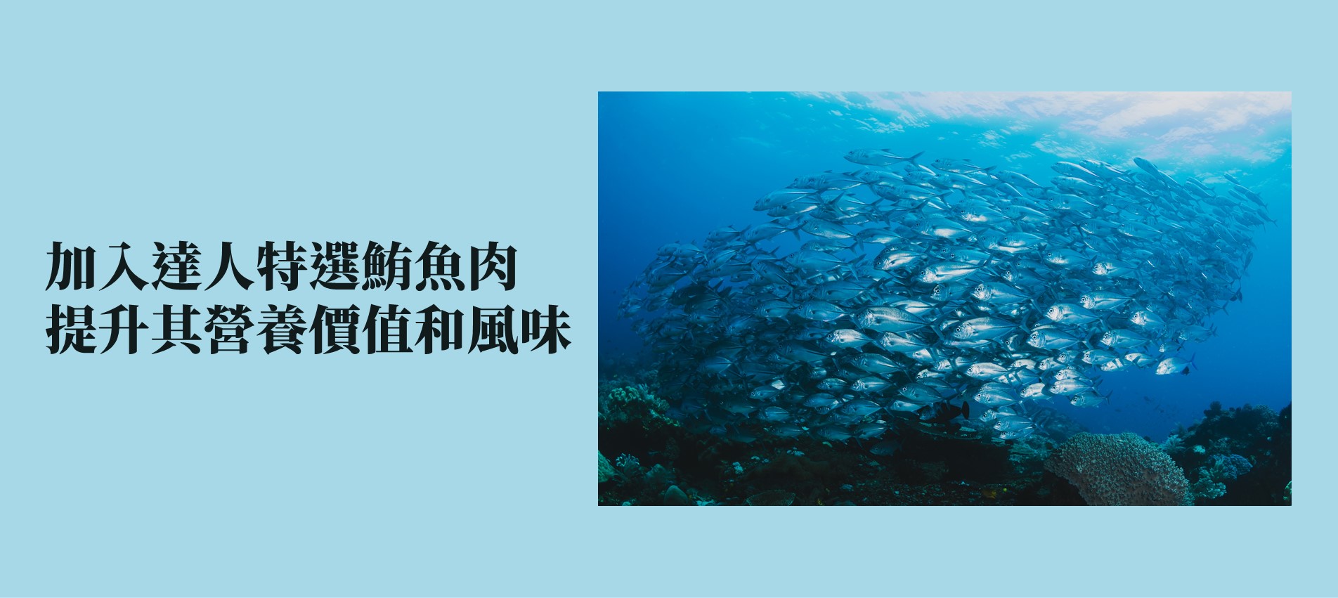 成功魚鬆