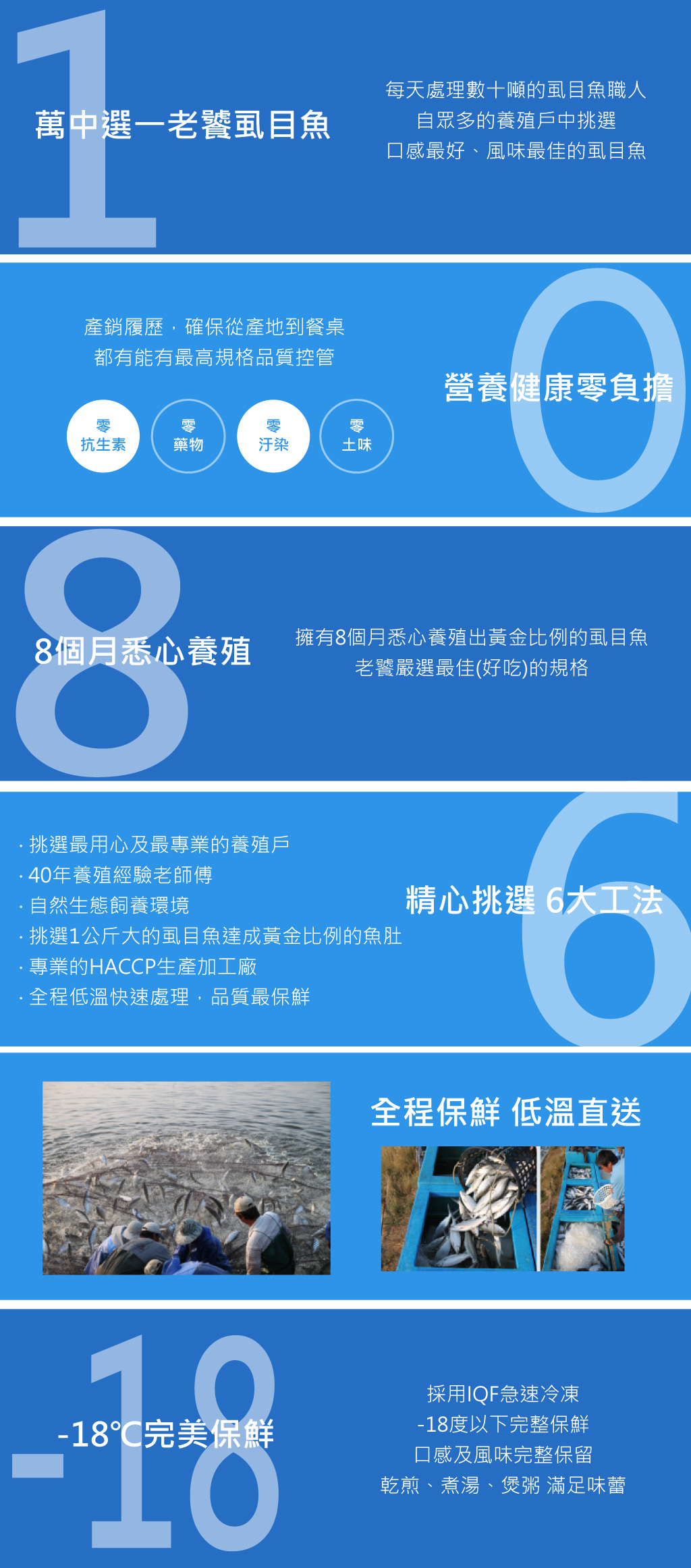 虱目魚介紹