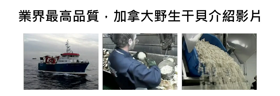 加拿大野生干貝介紹