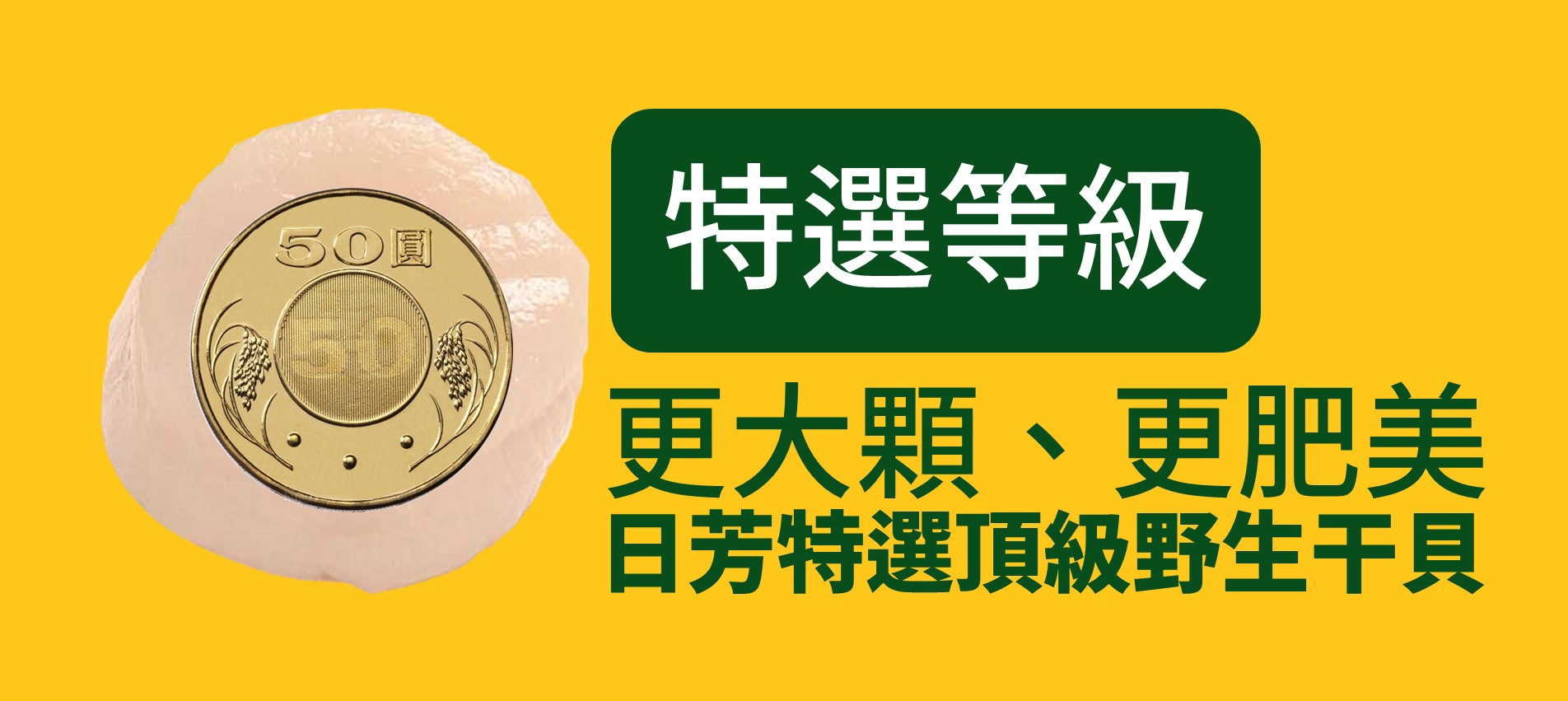 加拿大野生干貝介紹