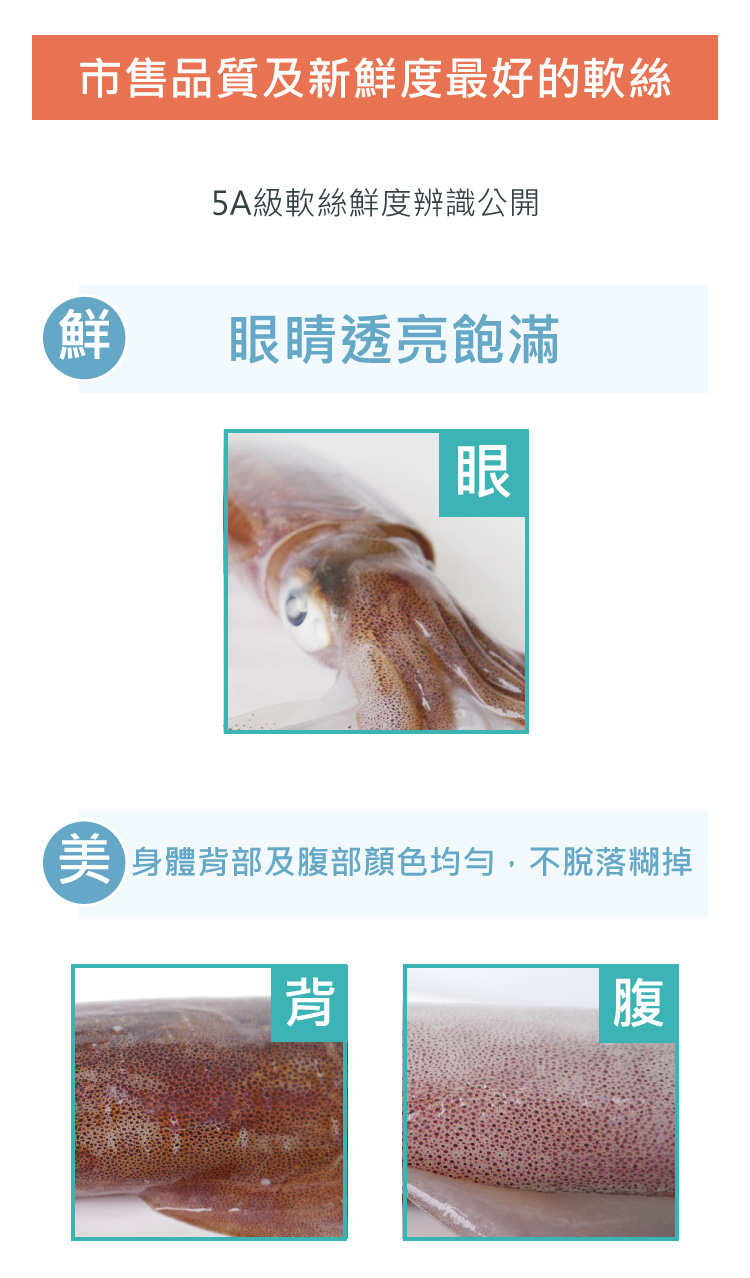 軟絲鮮度的辨試法及規格